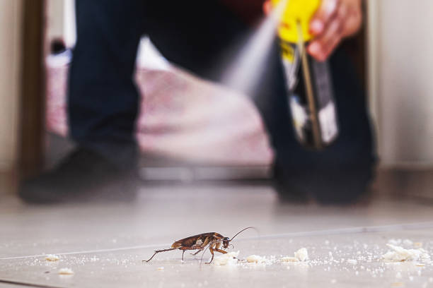 Professional Pest Control in Murray, UT